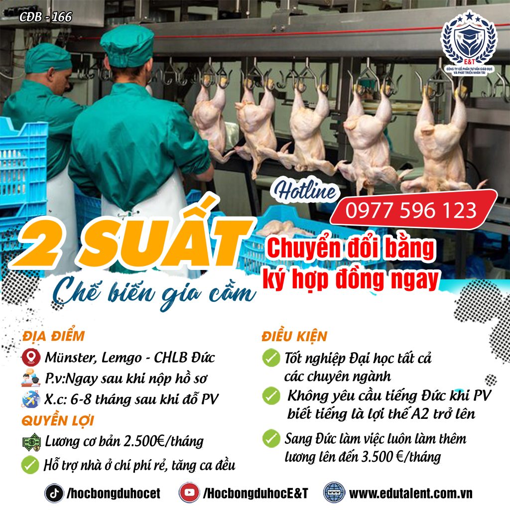 Münster, lemgo, 2 SUẤT CHUYỂN ĐỔI BẰNG CHẾ BIẾN GIA CẦM KÝ HỢP ĐỒNG NGAY