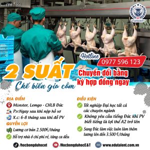 Münster, lemgo, 2 SUẤT CHUYỂN ĐỔI BẰNG CHẾ BIẾN GIA CẦM KÝ HỢP ĐỒNG NGAY