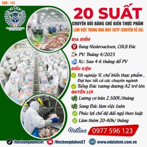 Bang Niedersachsen 20 SUẤT CHUYỂN ĐỔI BẰNG LÀM VIỆC TRONG NHÀ MÁY CHẾ BIẾN GIA CẦM