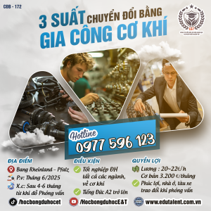 Rheinland–Pfalz Gọi Tên Bạn: 3 Cơ Hội Đổi Đời Với Nghề Gia công Cơ Khí Lương Cao!