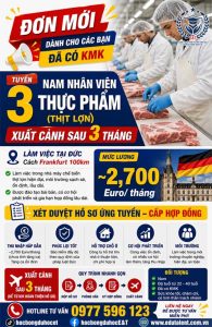 🇩🇪 ĐƠN MỚI DÀNH CHO CÁC BẠN ĐÃ CÓ KMK VISA 18B CHẾ BIẾN THỰC PHẨM🇩🇪