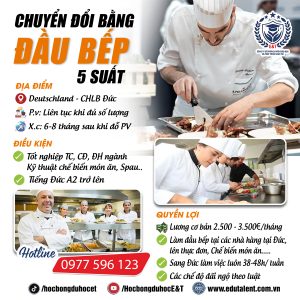 5 SUẤT CHUYỂN ĐỔI BẰNG ĐẦU BẾP TẠI CHLB ĐỨC.