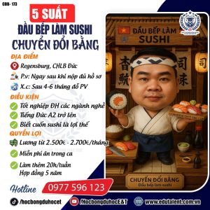 Regensburg: Chuyển nghề đầu bếp sushi – Lương cao, cơ hội rõ ràng!