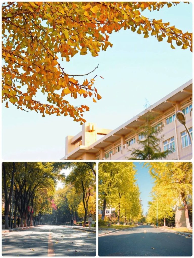  GẤP GẤP: CƠ HỘI CUỐI – CHỈ TIÊU HỌC BỔNG "CỨU CÁNH" DU HỌC TRUNG QUỐC 