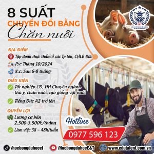 8 SUẤT CHUYỂN ĐỔI BẰNG CHĂN NUÔI BÒ, LỢN (HEO) TẠI CHLB ĐỨC