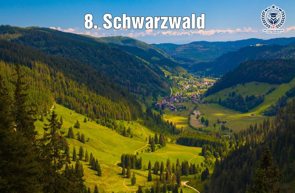 Schwarzwald