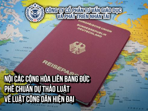 NOI-CAC-LIEN-BANG-PHE-CHUAN-DU-THAO-VE-LUAT-CONG-DAN-HIEN-DAI