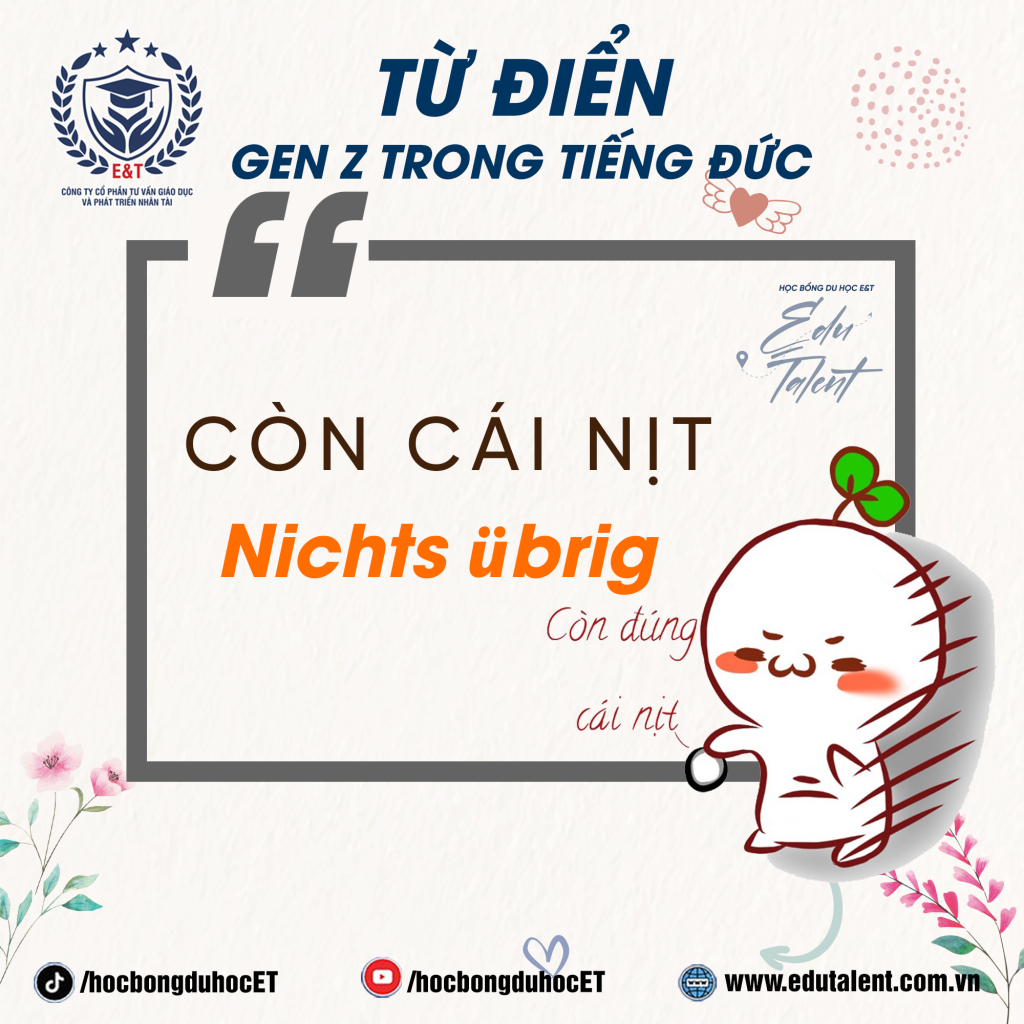 🌟 HỌC TIẾNG ĐỨC THEO “TỪ ĐIỂN” CỦA GENZ