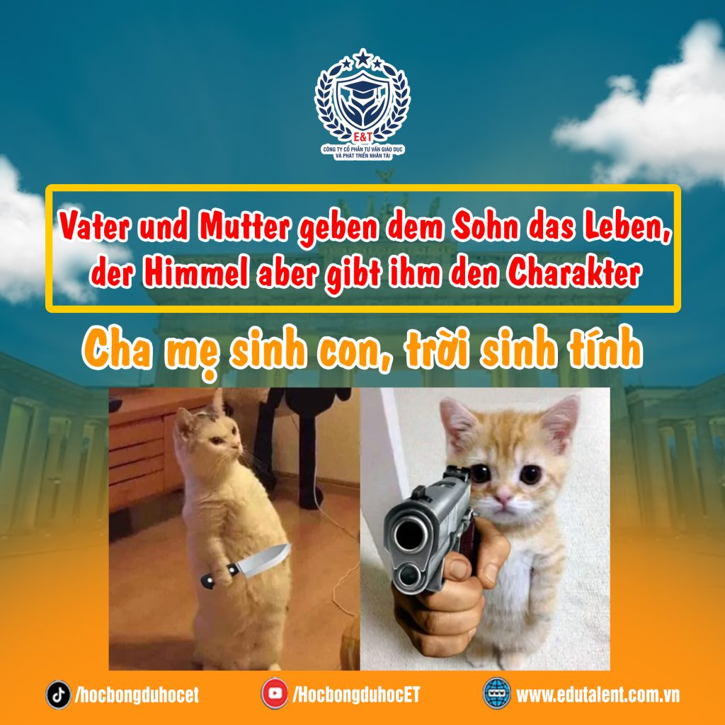CÁC THÀNH NGỮ TRONG TIẾNG ĐỨC SỬ DỤNG NHƯ NÀO