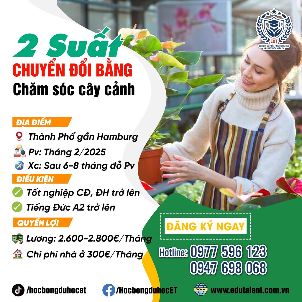 HAMBURG , 2 SUẤT CHUYỂN ĐỔI BẰNG CHĂM SÓC CÂY CẢNH