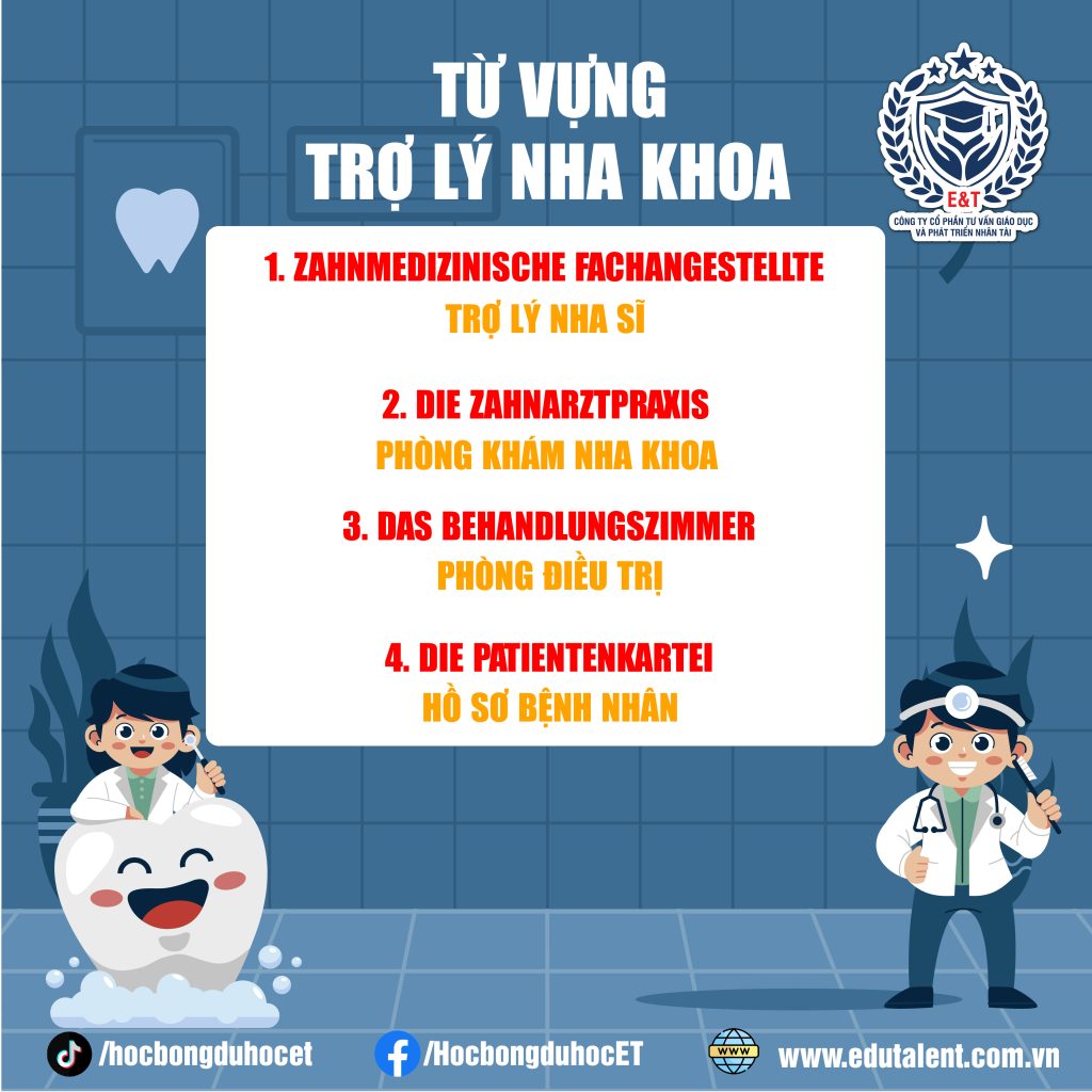 TỪ VỰNG TIẾNG ĐỨC NGHỀ TRỢ LÝ NHA KHOA