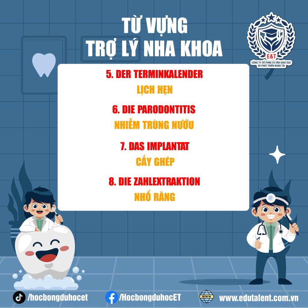TỪ VỰNG TIẾNG ĐỨC NGHỀ TRỢ LÝ NHA KHOA