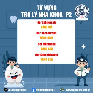 TỪ VỰNG TRỢ LÝ NHA KHOA TIẾNG ĐỨC