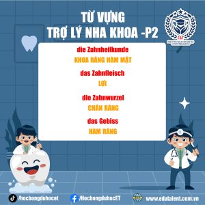 TỪ VỰNG TRỢ LÝ NHA KHOA TIẾNG ĐỨC
