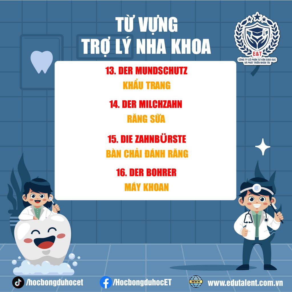 TỪ VỰNG TIẾNG ĐỨC NGHỀ TRỢ LÝ NHA KHOA
