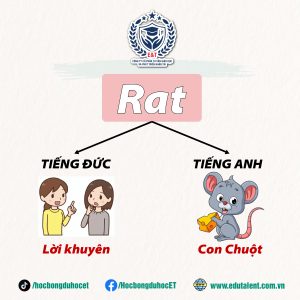 Tiếng Anh nhưng mang phong cách tiếng Đức