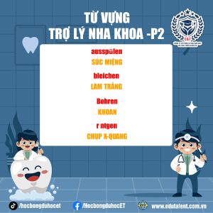 TỪ VỰNG TRỢ LÝ NHA KHOA TIẾNG ĐỨC
