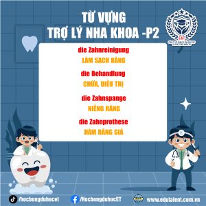 TỪ VỰNG TRỢ LÝ NHA KHOA TIẾNG ĐỨC
