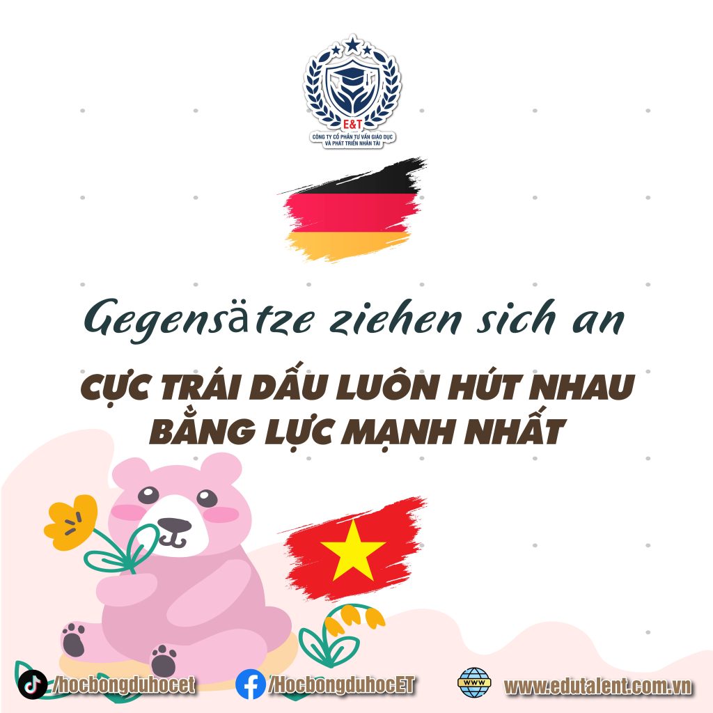 🇩🇪 NHỮNG TỤC NGỮ HAY TRONG TIẾNG ĐỨC P4