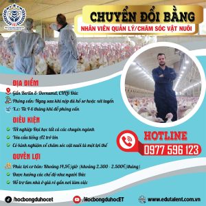 Tuyển Dụng Chuyển Đổi Bằng Đức: Nhân Viên Chăm Sóc Vật Nuôi (Tierpfleger)