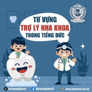 TỪ VỰNG TIẾNG ĐỨC NGHỀ TRỢ LÝ NHA KHOA