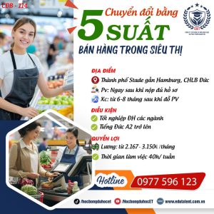 THÀNH PHỐ STADE, 5 SUẤT CHUYỂN ĐỔI BẰNG BÁN HÀNG TRONG SIÊU THỊ