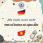🇩🇪TỤC NGỮ HAY TRONG TIẾNG ĐỨC - P2