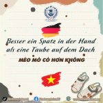 🇩🇪TỤC NGỮ HAY TRONG TIẾNG ĐỨC - P2